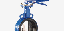Butterfly Valve