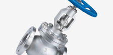 Globe Valve