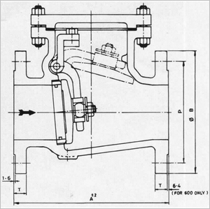 Swing Check Valves
