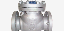 Swing Check Valve
